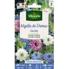 Image de Graines - Vilmorin - Nigelle de Damas