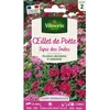 Image de Graines - Vilmorin -  illet de Poète Tapis des Indes
