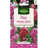Image de Graines - Vilmorin - Pois Vivace Varié