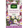 Image de Graines - Vilmorin - Reine-Marguerite Simple Variée