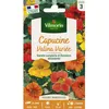 Image de Mélange de graines - VILMORIN - Capucine Valina - Floraison exceptionnelle - Hauteur 30cm - Sol pauvre