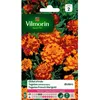 Image de VILMORIN Sachet graines de fleurs  illet dInde BOLERO