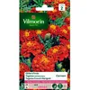 Image de Graines - Vilmorin -  illet dInde Carmen