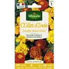Image de Graines - Vilmorin - Oeillet dinde double nain mix