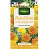 Image de Graines - Vilmorin - Rose dInde Double Grande Variée