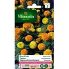 Image de Graines - Vilmorin - Rose dInde Naine Variée