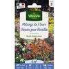 Image de Graines - Vilmorin - Fleurs Vivaces pour Rocaille - 4 m² - Mélange de fleurs