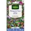 Image de Graines - Vilmorin - Jolies Fleurs dEté - 4 m² - Mélange de fleurs