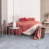 Image de Tapis lumineux gris clair 160x230