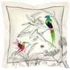 Image de Taie doreiller 65x65 cm coton AMAZONIA ecru