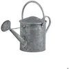 Image de Arrosoir décoratif en zinc lourd 5 litres