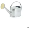 Image de Arrosoir en métal galvanisé 10 L