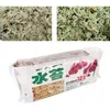 Image de [] Engrais organique de nutrition de mousse de sphaigne 12l pour jardin de fleurs d& 39 orchidée phalaenopsis -