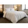 Image de Couette chaude Coton Percale - 2 personnes 240 x 260 - Spécial Hiver - MORTREUX