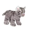 Image de Peluche - Peluche Chat Floppikitty - gris 22 cm