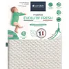 Image de CANDIDE - Matelas Evolutif Fresh 60x120cm