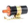 Image de Bobine dallumage - VALEO - 245025 - BOBINE HUILE PEUG 405 309