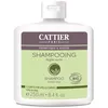 Image de Cattier Shampooing Argile Verte Cuir Chevelu Gras 250ml