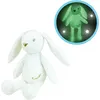 Image de JEMINI Luminou Lapin blanc Peluche lumineuse naturelle fonctionne sans pile+/- 20 cm