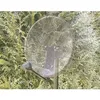Image de SEDEA PARABOLE SATELLITE 60 TRANSPARENTE+ LNB 1 TV