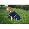 Image de DIEGO & LOUNA Couverture en fibres polaires 100 % polyester - 26 cm - Marine et liseré taupe - Pour chien