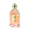 Image de Aqua Allegoria Forte - Rosa Palissandro - Eau de Parfum-75ml GUERLAIN