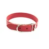 Image de COLL CUIR 10-31CM ROUGE MARTIN SELLIER
