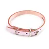 Image de COLL CUIR 12-33CM ROSE MARTIN SELLIER