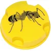 Image de LUCIFER Anti-fourmis - 10 g