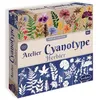 Image de Atelier Cyanotype Herbier - Créations Florales - Papier Spécial - Multicolor