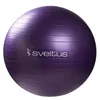 Image de Gym Ball Parme - SVELTUS - Diamètre 75 cm - PVC - Conception anti-explosion