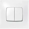 Image de Interrupteur double va et vient Neptune - Legrand - 10 A - Blanc - Plastique
