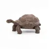 Image de Figurine Tortue des Galapagos - Papo - Collection Vie Sauvage - Jouet pour Enfant de 3 à 10 ans