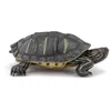 Image de Figurine - PAPO - Tortue de Floride - Ultra réaliste - Peinte à la main - 1.9 cm x 6.2 cm x 4.4 cm