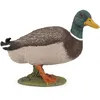 Image de Figurine Canard colvert - PAPO - LA VIE A LA FERME - Peinte à la main