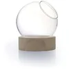 Image de Graine Créative - Vase globe avec socle en Bois Ø13cm