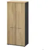 Image de Armoire 2 portes effet bois chêne du bocage avec étagères