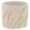 Image de Cache pot Blé 125 cm - Amadeus