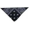 Image de Bandana Cow-boy - PTIT CLOWN - Noir - 50 x 50 cm - Adulte - Extérieur