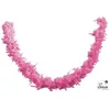 Image de Boa - PTIT CLOWN - 1.80 m - Rose - 50 gr