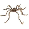 Image de Araignée géante - PTIT CLOWN - re23018 - 60 cm - Fixation par ventouse - Marron poilue