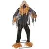 Image de Automate Épouvantail - PTIT CLOWN - 24149 - Animé Sonore Lumineux - 180 cm