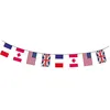 Image de Guirlande - D.Day - 20 pavillons - PVC - 10 m - Tricolore