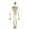 Image de Décoration Halloween - PTIT CLOWN - Grand Squelette à Suspendre - 150 cm - Plastique Blanc