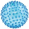 Image de Balle sensorielle LUDI - Diamètre 20 cm - Bleu - Pour bébé dès 6 mois