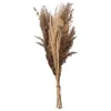 Image de Bouquet de pampas séchées Ori blanc ivoire H58cm - Atmosphera createur dinterieur