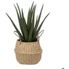Image de Aloe vera artificiel pot roseau H40cm - Atmosphera createur dinterieur