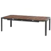 Image de Table de jardin extensible Paradize Noyer & graphite 12 places en aluminium et acacia - Hespéride