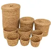 Image de Lot de 9 paniers ronds Little cottage jonc D14/19/24/28/35cm
