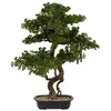Image de Bonsaï artificiel Polin pot en céramique H86cm - Atmosphera createur dinterieur